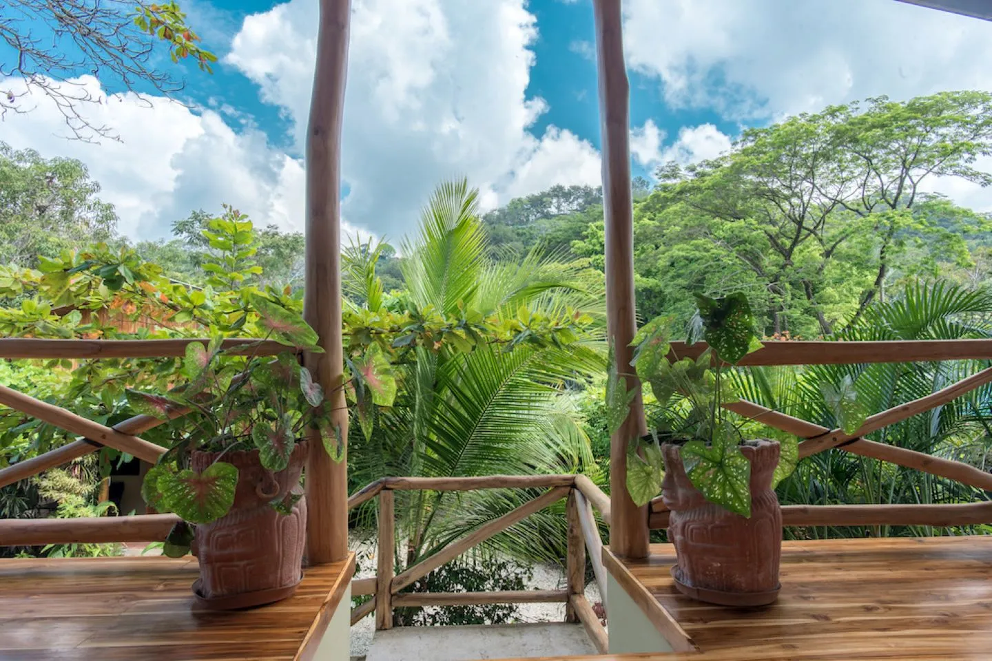 2 villas 2 appartments 4 commercial stores in the center of santa teresa - image 2