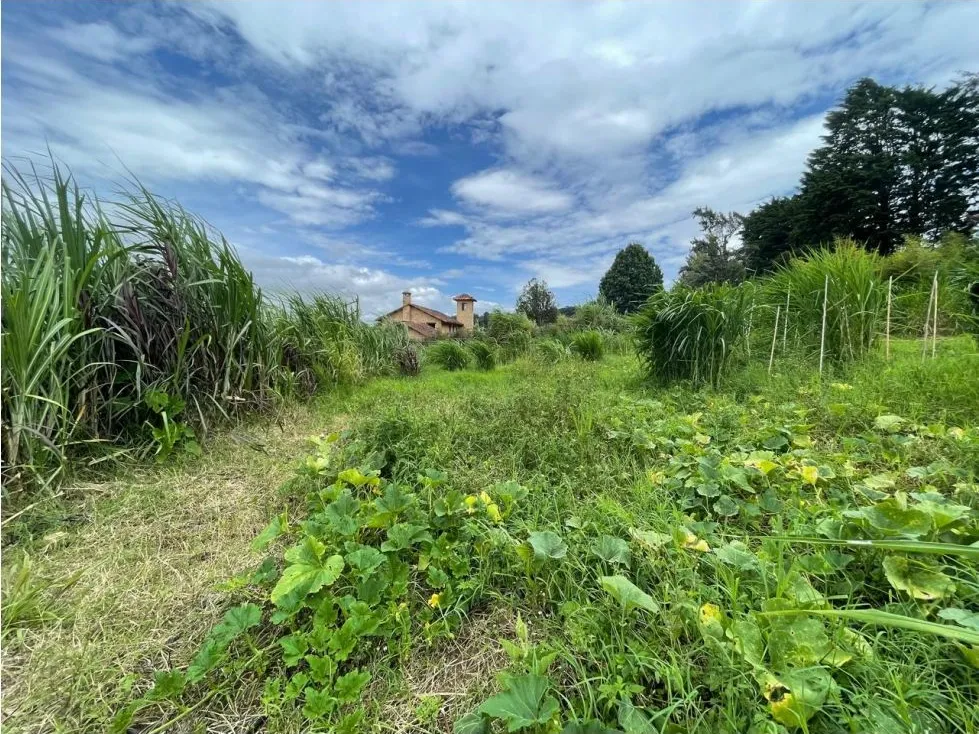 For Sale: This beautiful 1.12-hectare estate in Santa Cecilia de San Isidro de Heredia, on Caricias Street. - image 11