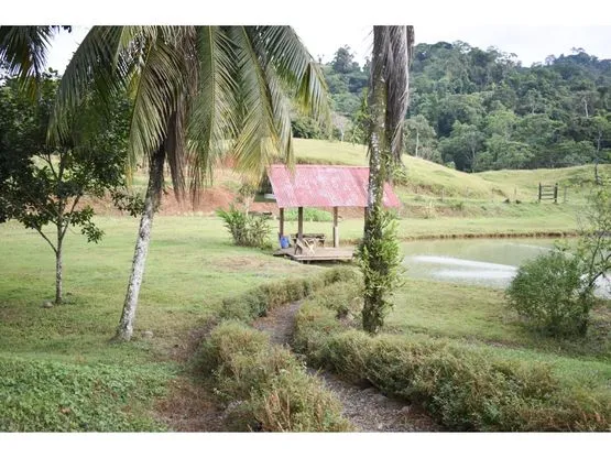Siempre Farm and Sanctuary - image 11
