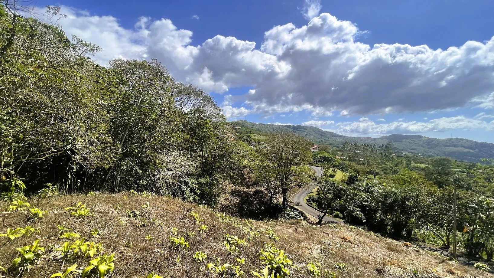 OCEAN VIEW LOT FOR SALE IN SANTIAGO, SAN RAMON - image 5