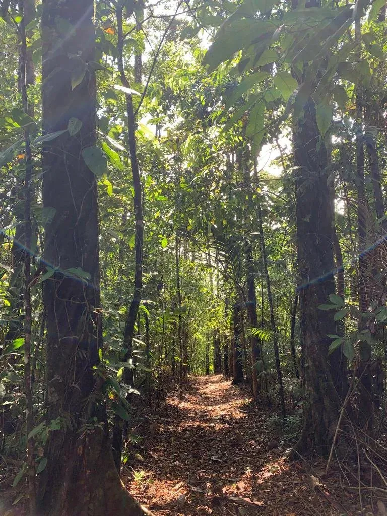 Beautiful 480,000 m² Tourist Property in Alajuela - image 12