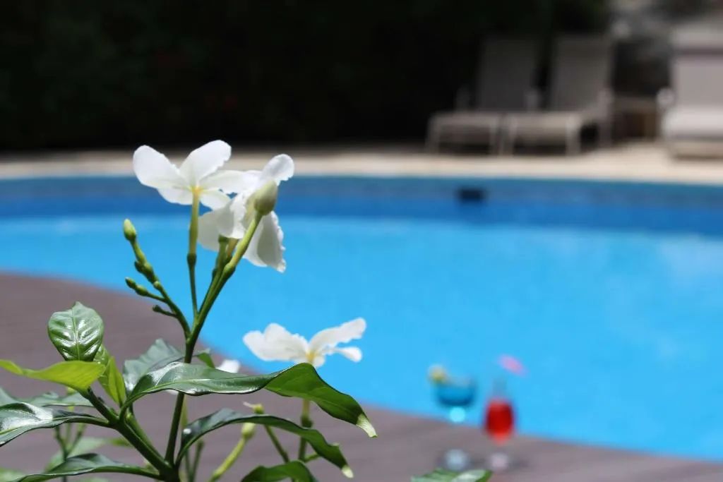 Historical Hotel in Quepos, Puntarenas - image 6