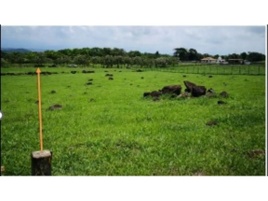 Lote plano en Turrucares - image 6