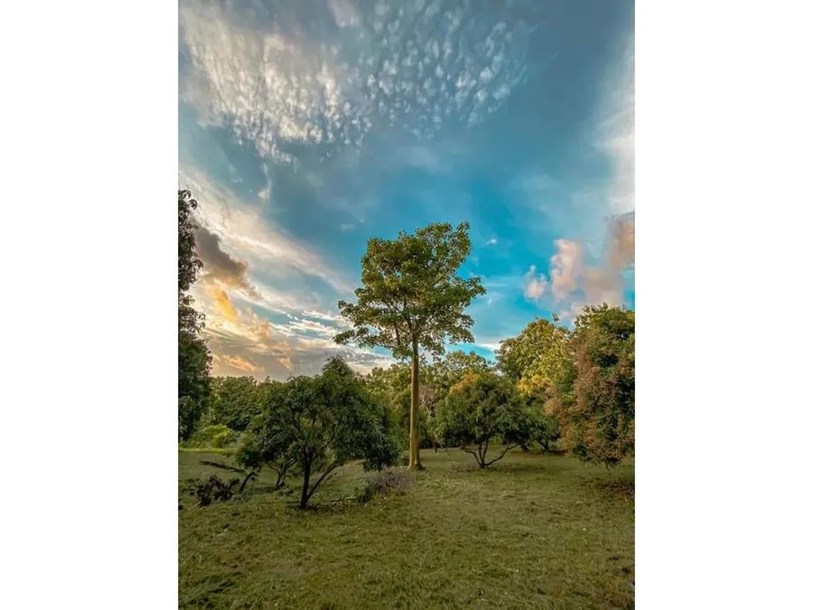 Land for Sale in Lagunilla, 20 min From Jaco- Build Your Dream Home! - image 2