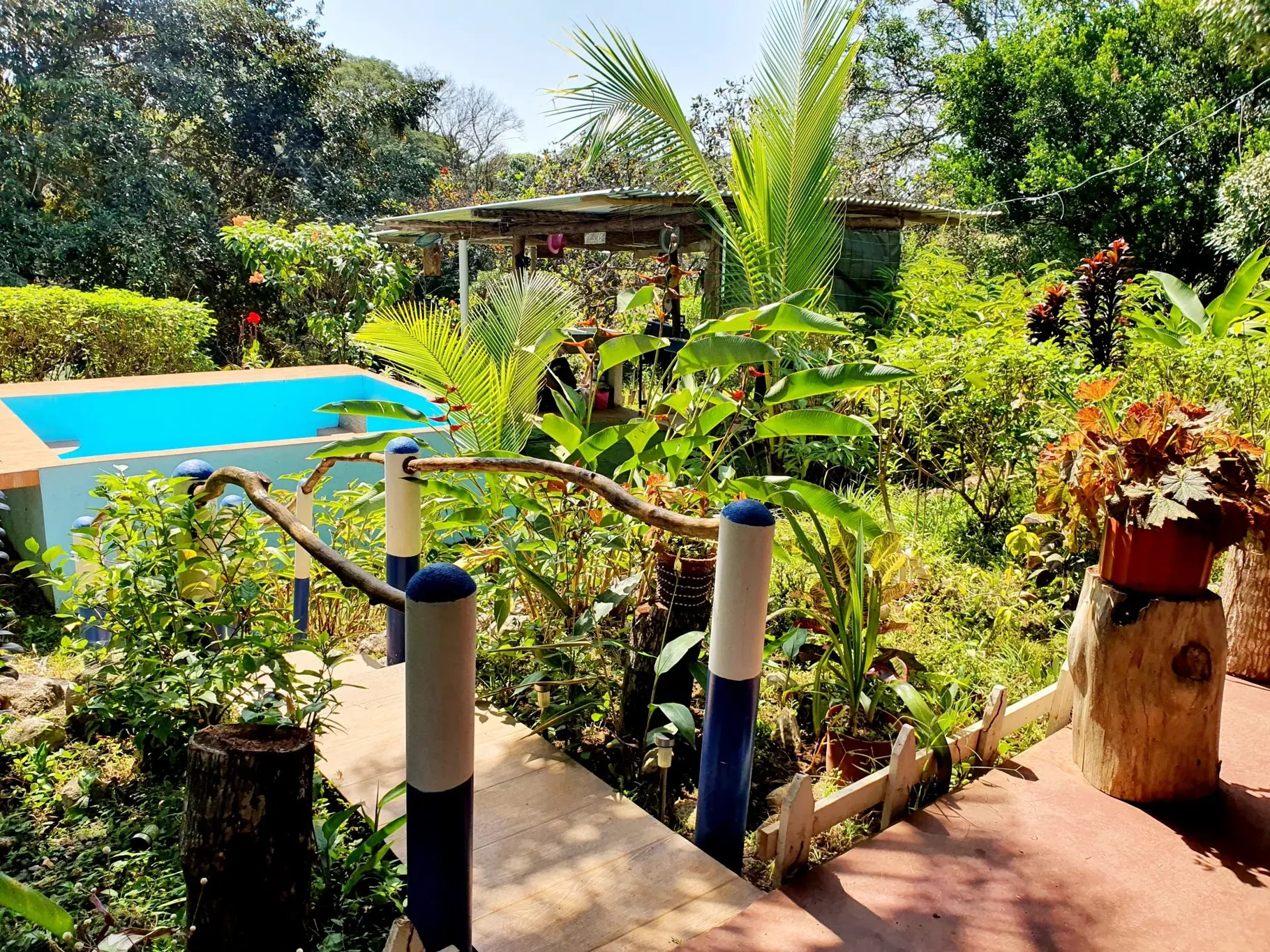 Land to develop a country lifestyle! - image 8