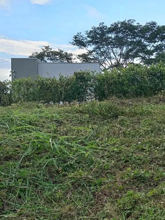 Prime Lot for Sale: 30 Minutes from the Beach – Peaceful and Growing Rural Area - image 5