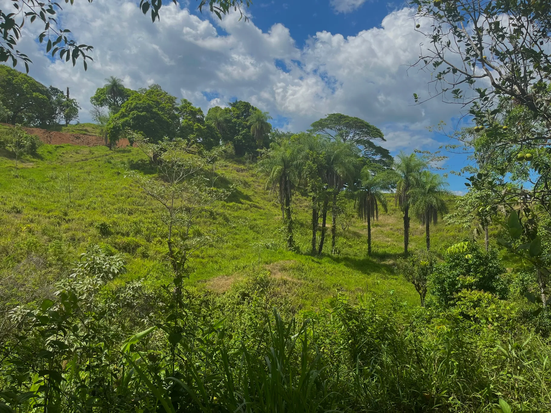  Spectacular Ecological Mountain Farm in Bijagual - image 8