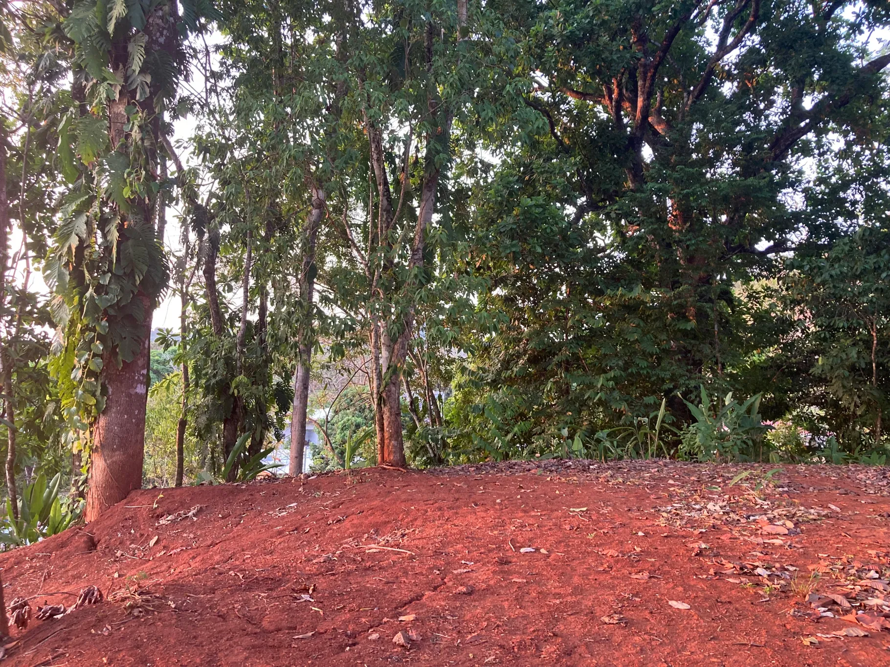 Lot with mountain view - image 3