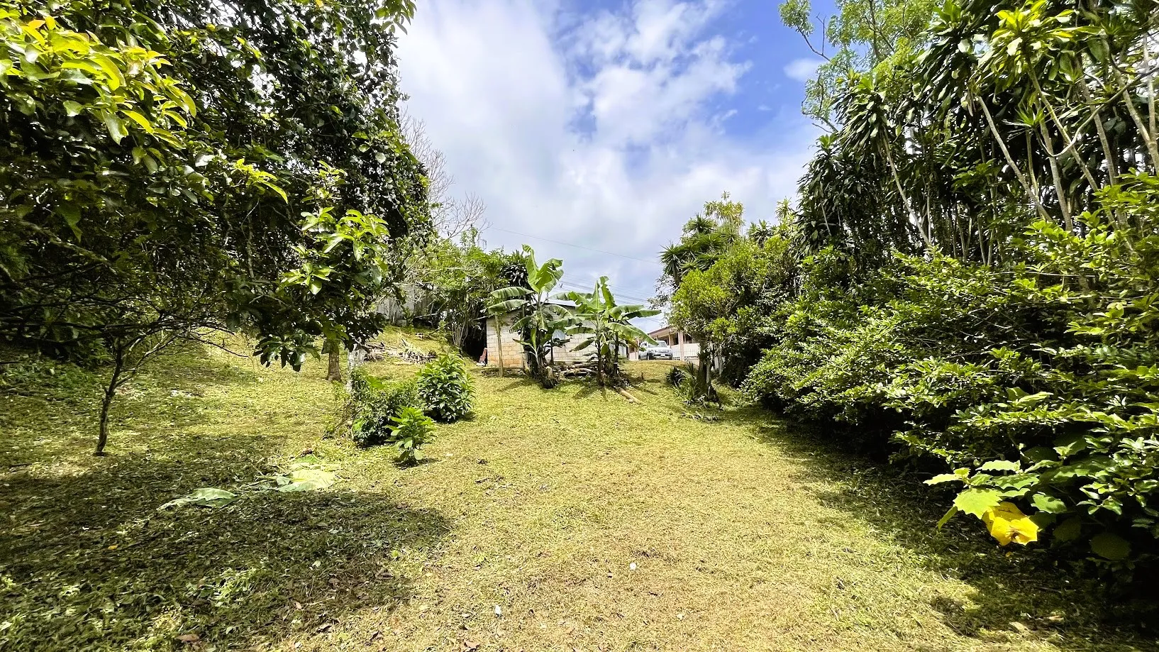 LOT WITH A HOUSE IN SAN ISIDRO, SAN RAMON  - image 15