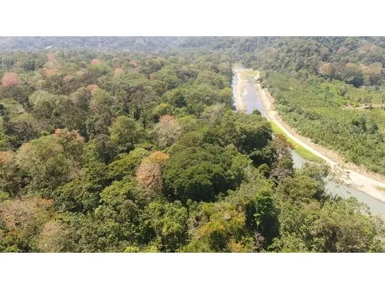 102 hectares of Land in Nanabri, Limón - image 6
