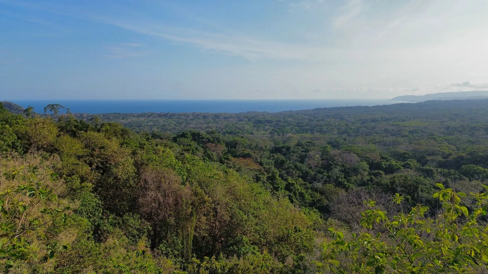 Beautiful Oceanview lot in community in Tambor - image 4