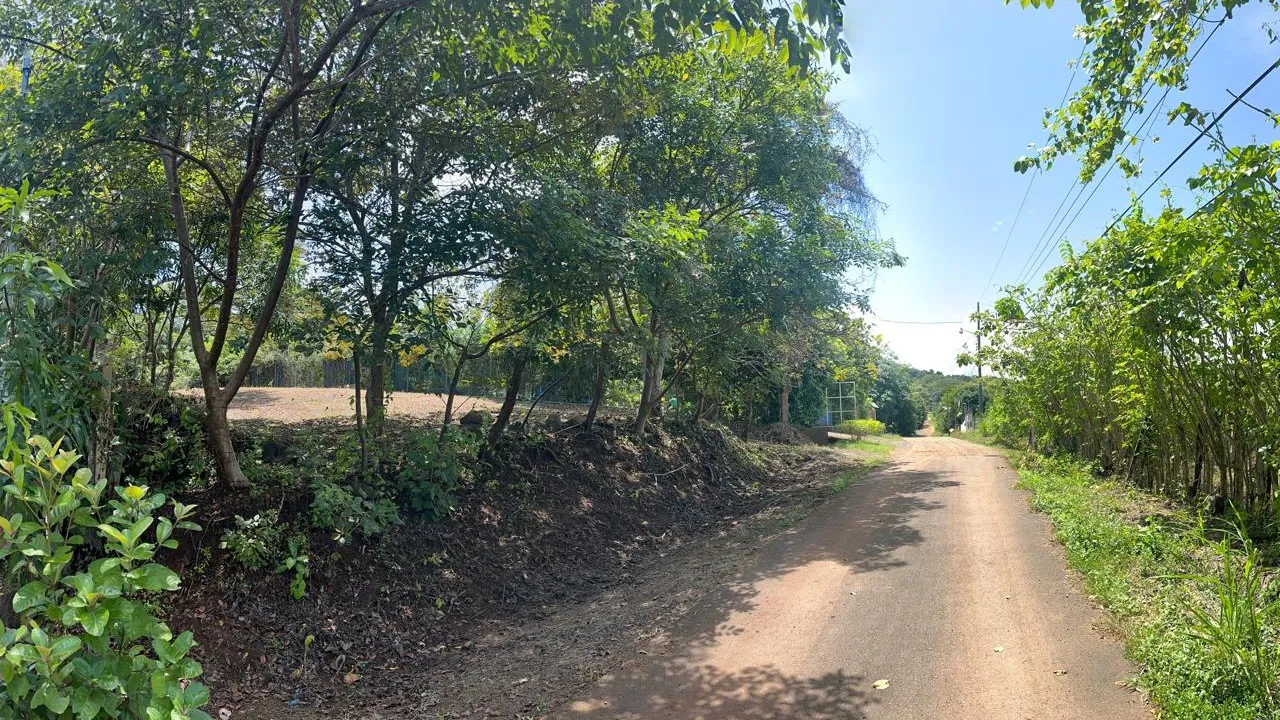 Orotina Lot with Financing Available - image 7