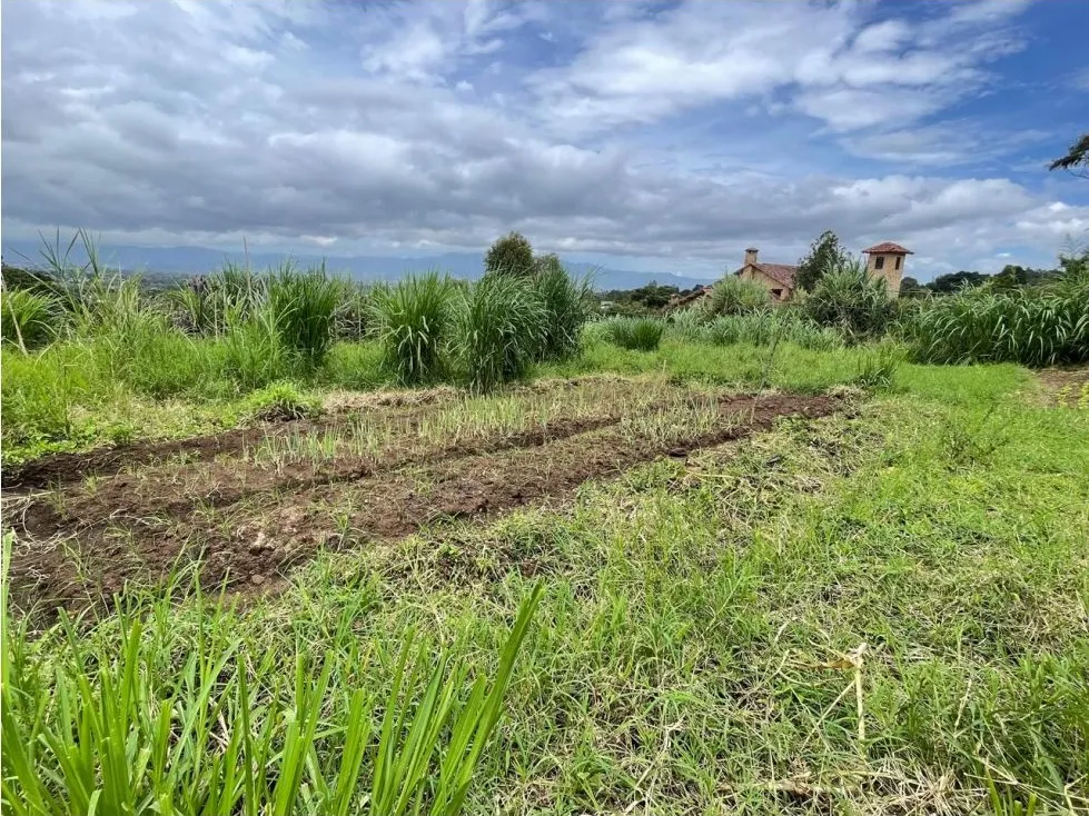 For Sale: This beautiful 1.12-hectare estate in Santa Cecilia de San Isidro de Heredia, on Caricias Street. - image 15