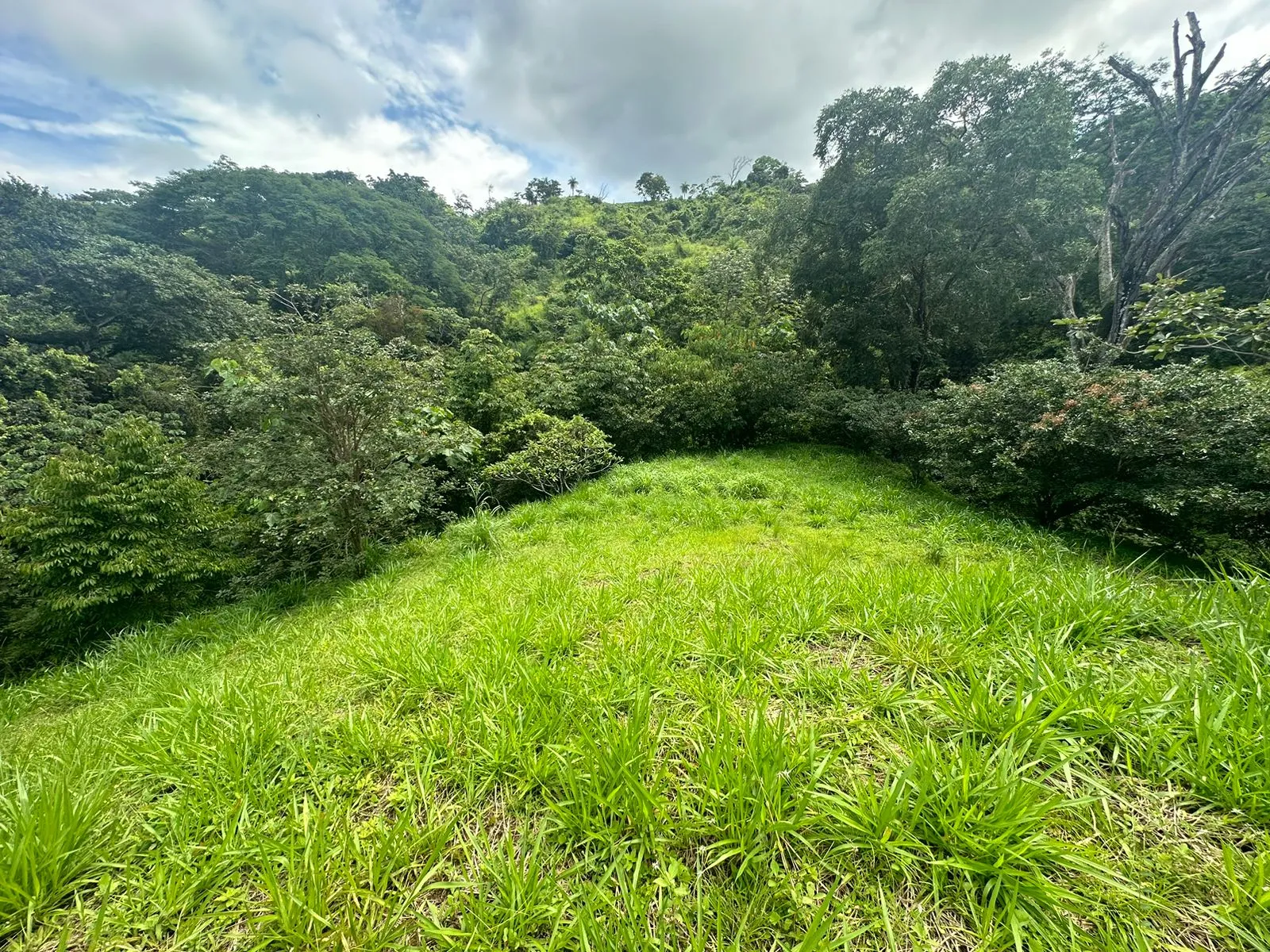 Build Your Future in Turrubares: Nature, Development, and Quality of Life - image 3