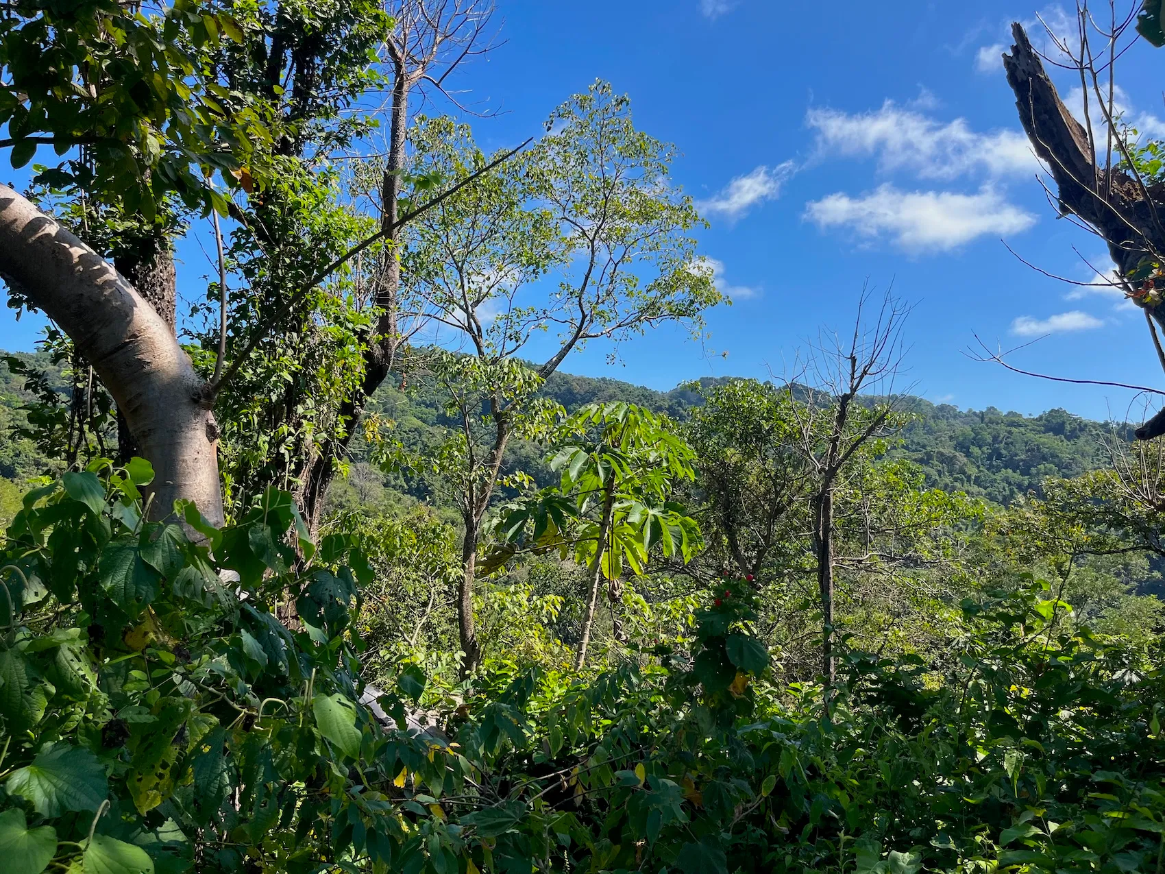 Ocean View Lot 10000m2 in Mal País – 2 Ready-to-Build Platforms - image 8