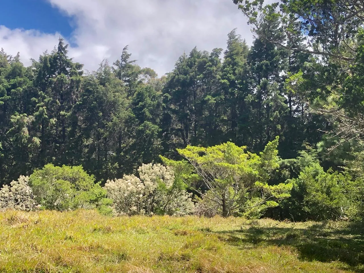 Sale / Beautiful Land (With Permission for Commercial Use) San Isidro, Heredia - image 6