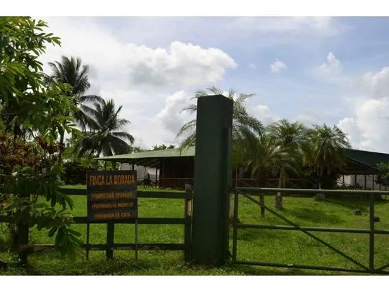 SE VENDE FINCA DE CACAO EN PRODUCCIÓN Y CRECIMIENTO - image 9