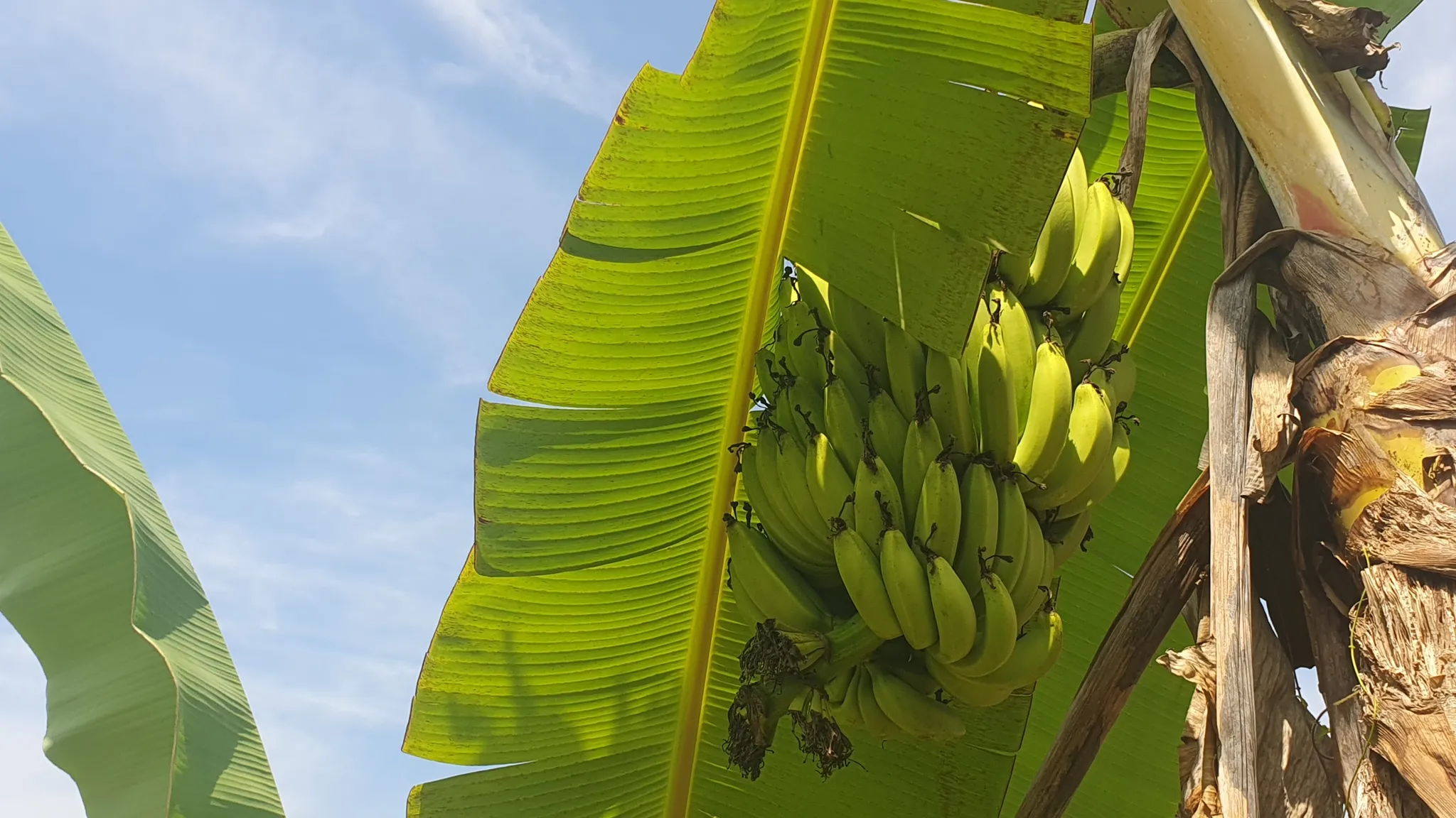 PEACEFUL AND PRIVATE LAND IN PUNTA MALA, OJOCHAL - image 4