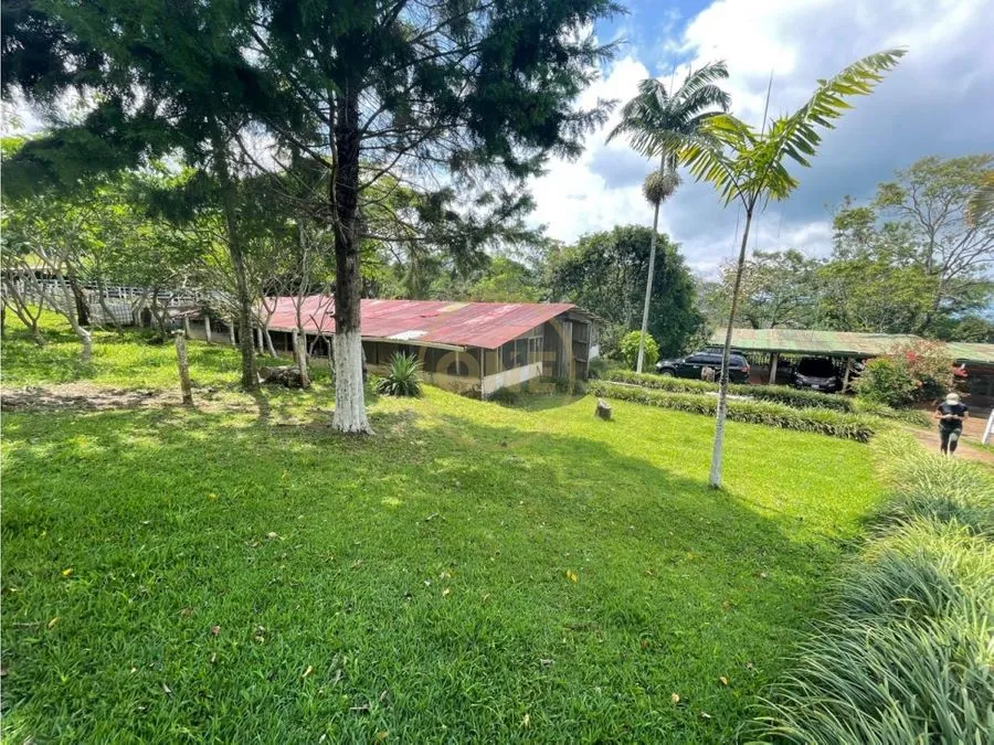 Venta Finca Puriscal - image 5