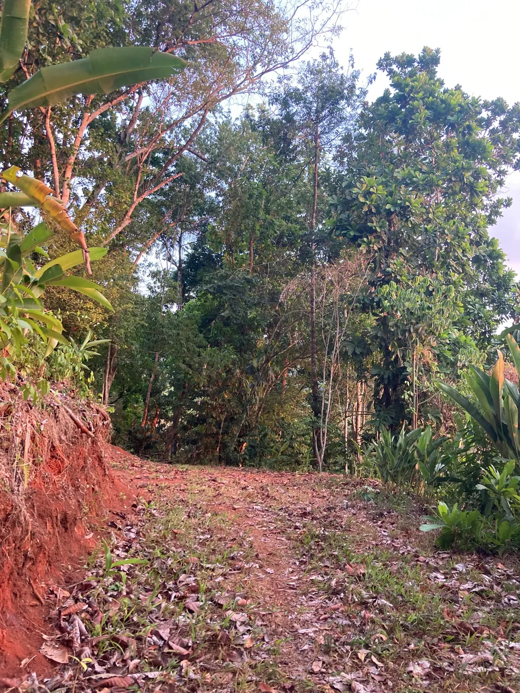 Lot with mountain view - image 8
