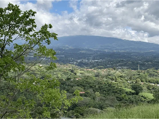 Condominium Lots with Perfect Views - image 5