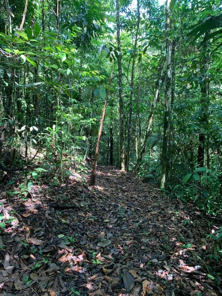 Beautiful 480,000 m² Tourist Property in Alajuela - image 10