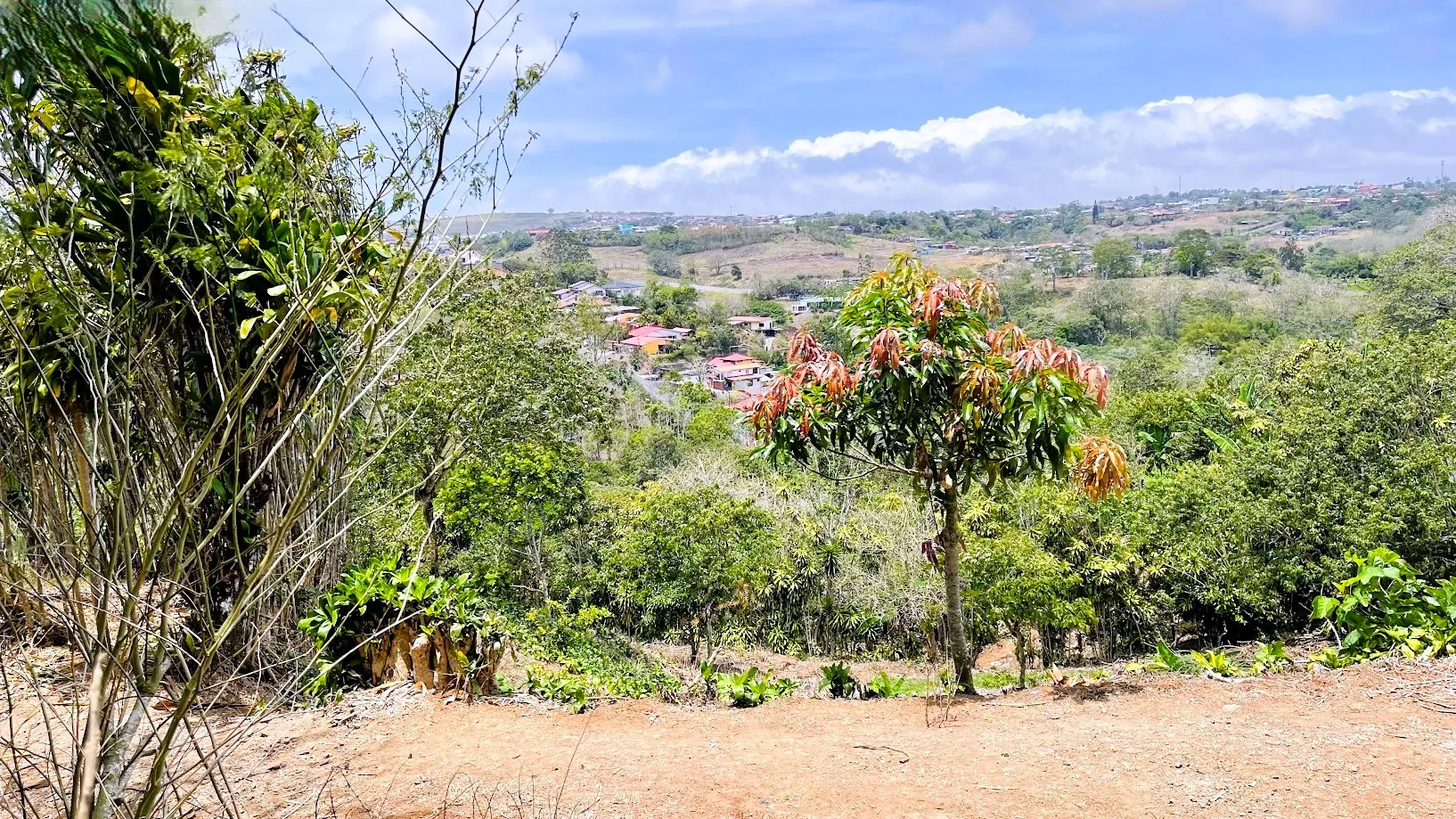 LOT FOR SALE - SAN ISIDRO, SAN RAMON - image 13