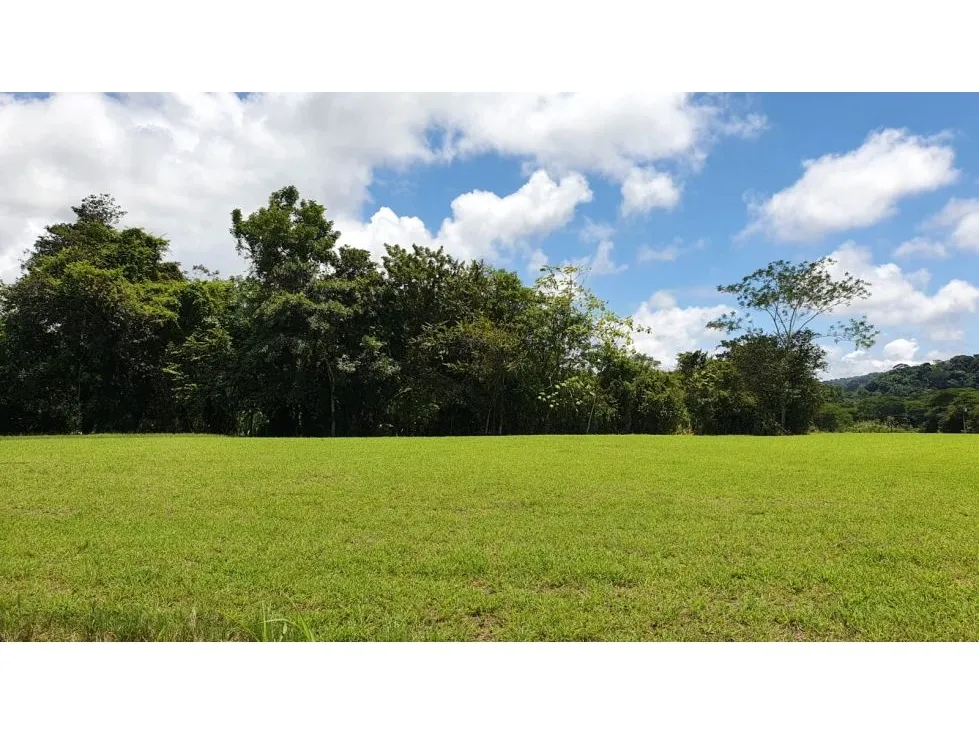Spectacular 5062 mts Lot In A Private Community near Playa Hermosa - image 9