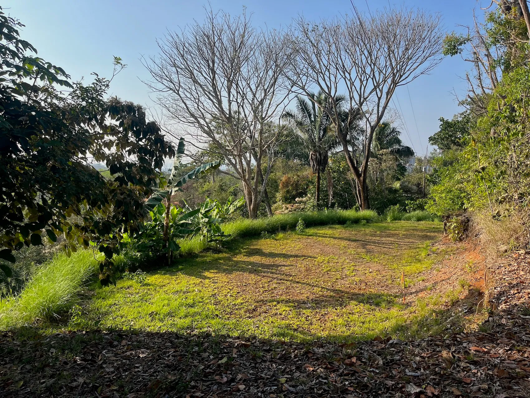 6,300m² Lot with Beautiful Valley, Ocean & Sunset Views Near Playa Hermosa - image 5
