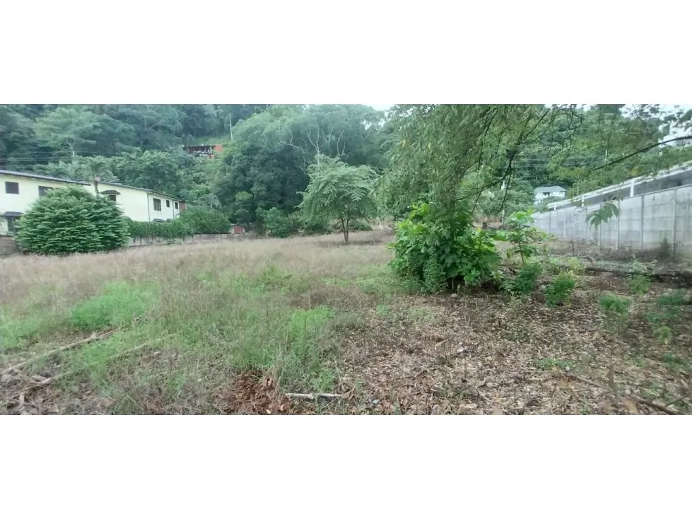  Lot Of Land With a Great Potential To Invesment - image 6
