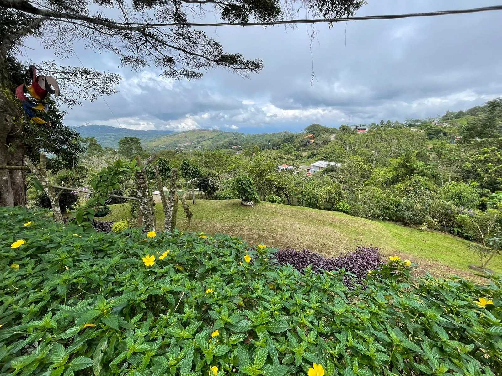 For Sale: Farm for development in Puriscal - image 11
