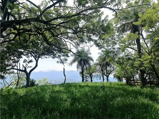 For sale: Developable land in Desmonte - image 14