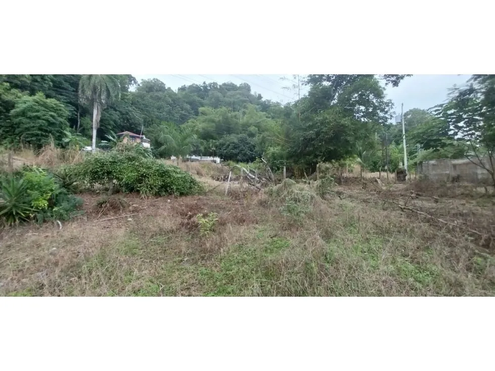  Lot Of Land With a Great Potential To Invesment - image 13