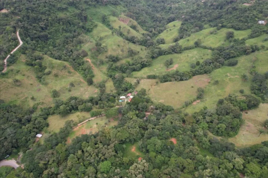 NATURAL PARADISE FARM of 203 ACRES IN BARU, PEREZ ZELEDON - image 4