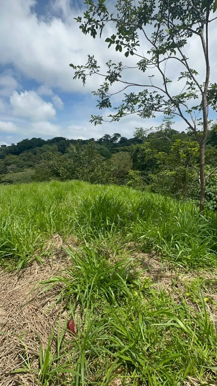 Build Your Future in Turrubares: Nature, Development, and Quality of Life - image 10