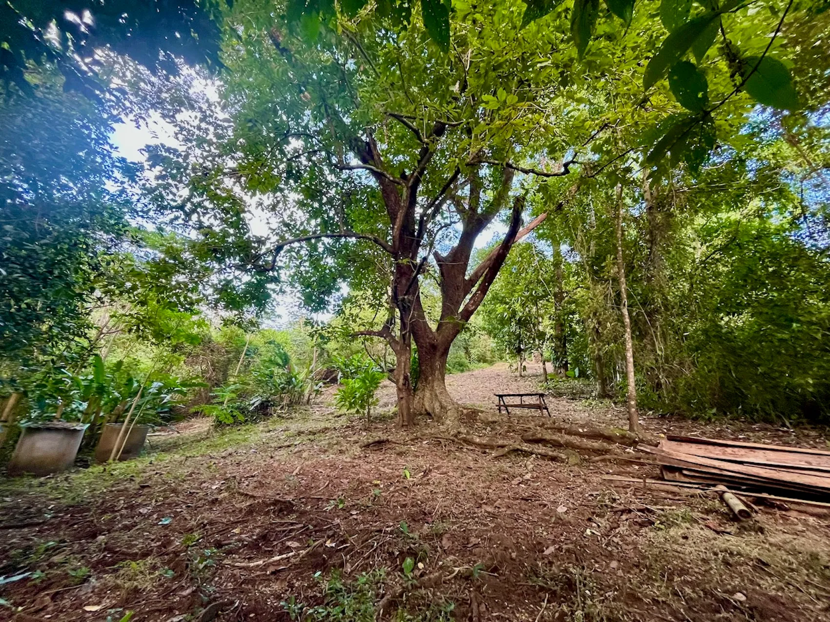 Discover an exceptional commercial and residential property steps from the ocean  in Mal País, Costa Rica! - image 8