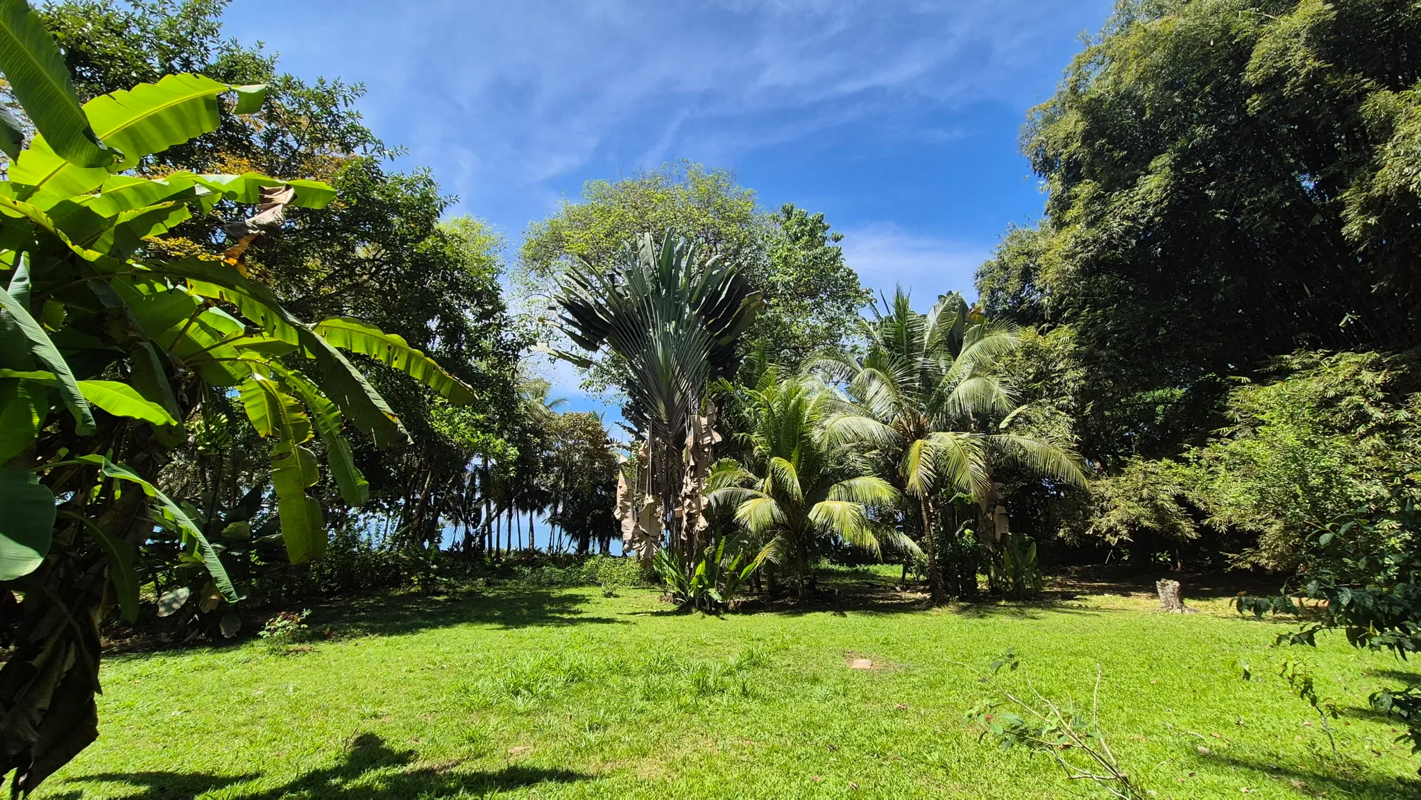 Dream Beachfront Property at Ballena Beach in Uvita, Costa Rica - image 8