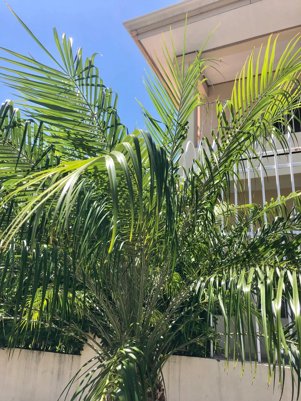 Sale / Nice House in Trejos Montealegre Residential, San Rafael, Escazu, San Jose - image 4