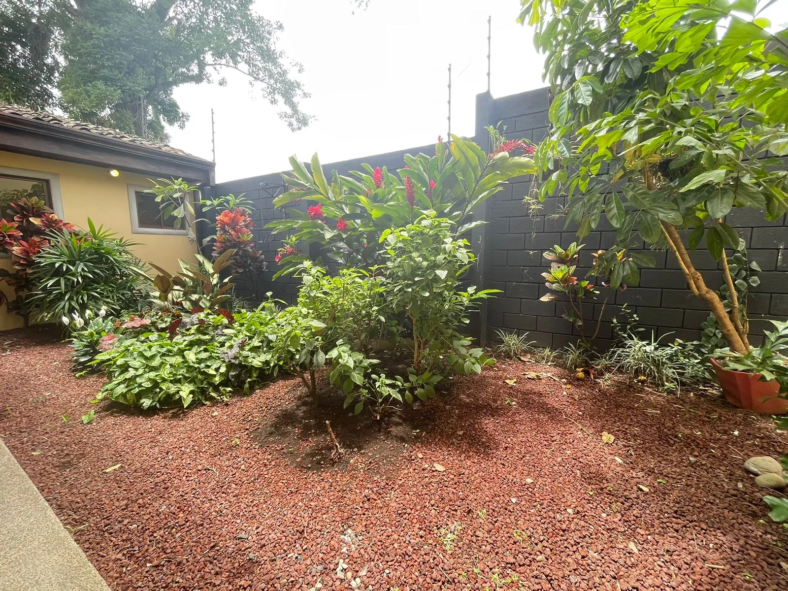 For Sale: Residencial House in Santa Ana - image 12