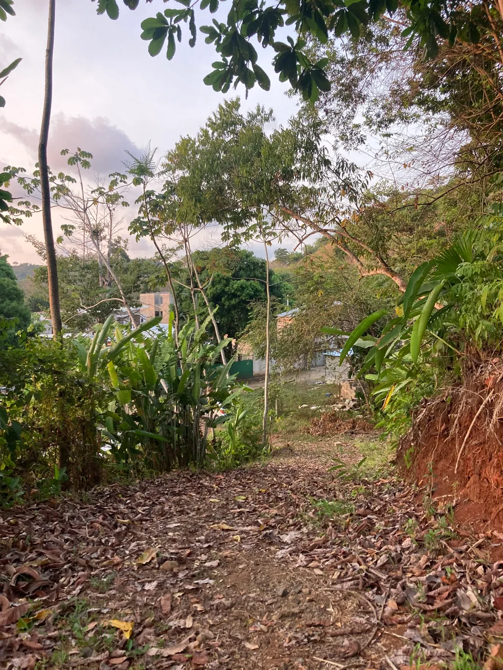 Lot with mountain view - image 7