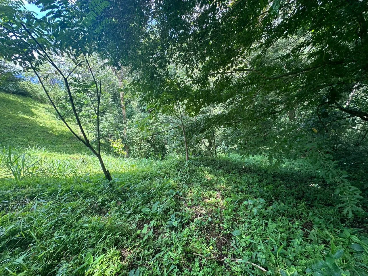 Build Your Future in Turrubares: Nature, Development, and Quality of Life - image 12