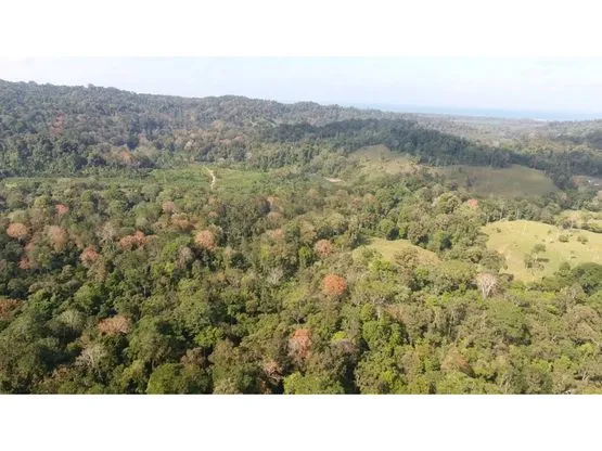 102 hectares of Land in Nanabri, Limón - image 7