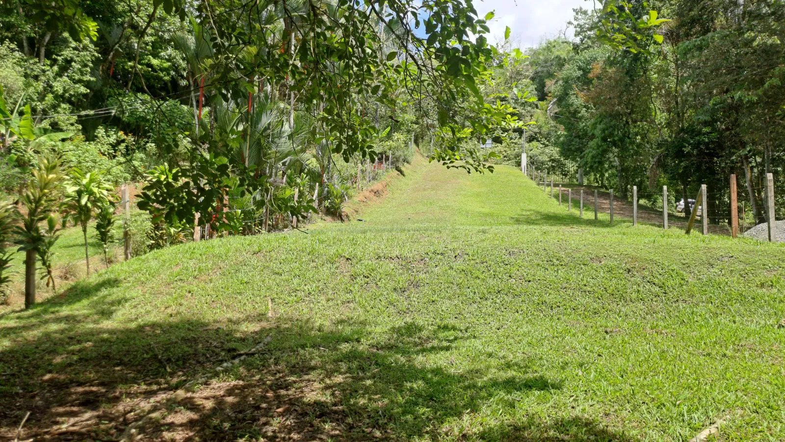 Conveniently Located Property at Playa Hermosa in Uvita, Costa Rica - image 9