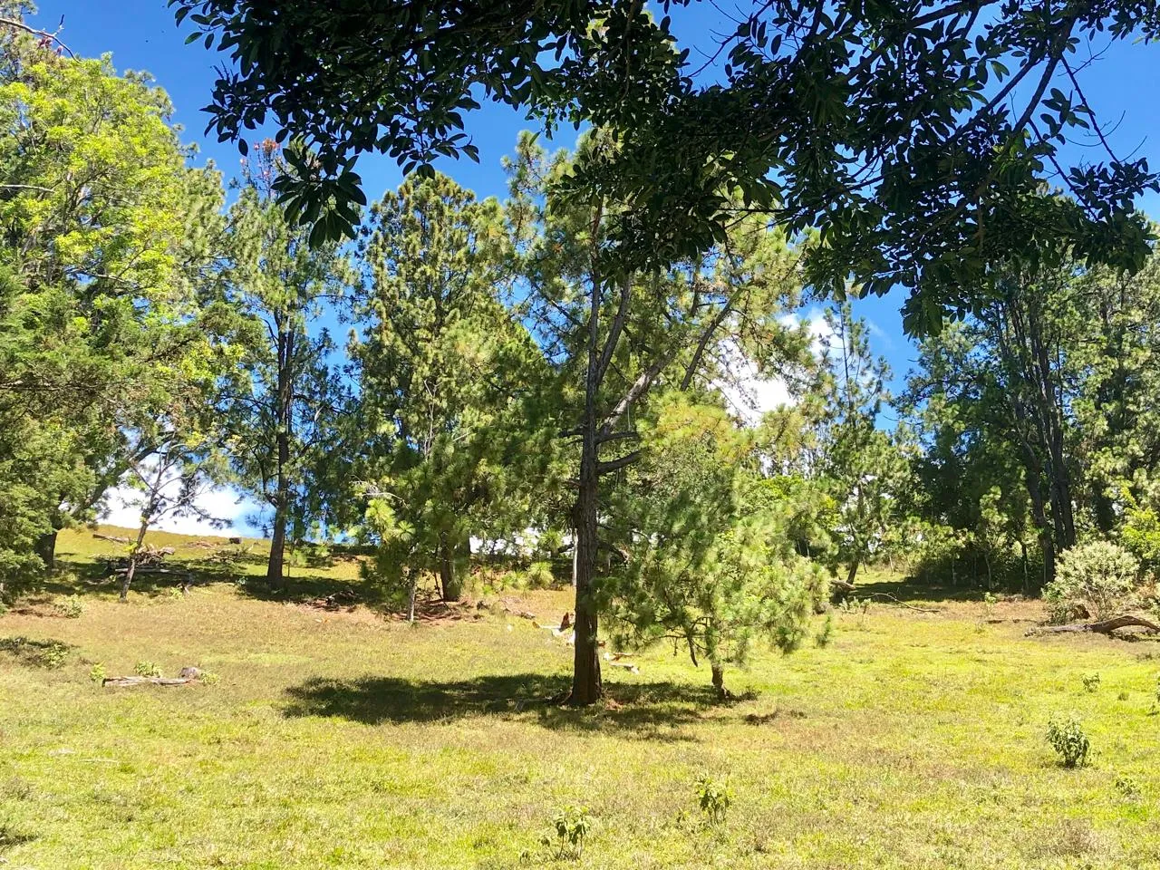 Sale / Beautiful Land (With Permission for Commercial Use) San Isidro, Heredia - image 9
