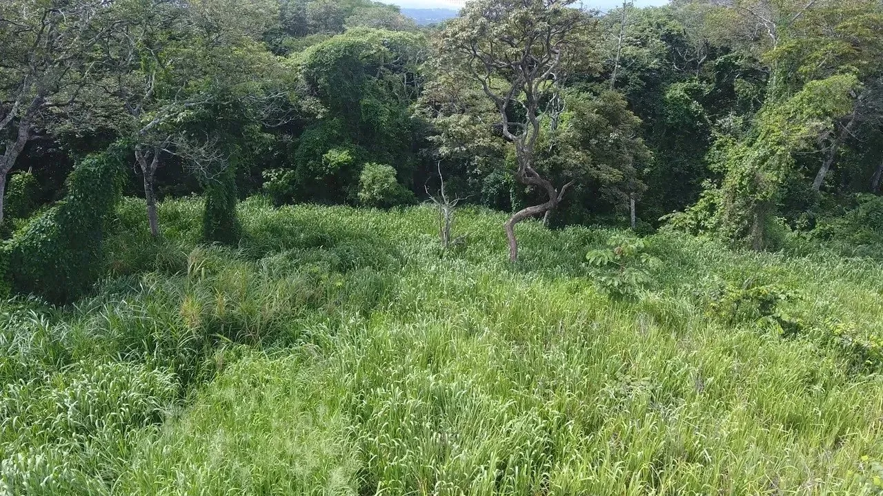 Spacious 10,288 sqm lot in La Garita, Alajuela - image 6