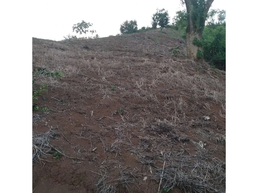  Beautiful Plot Of Land In Bijagual - image 4