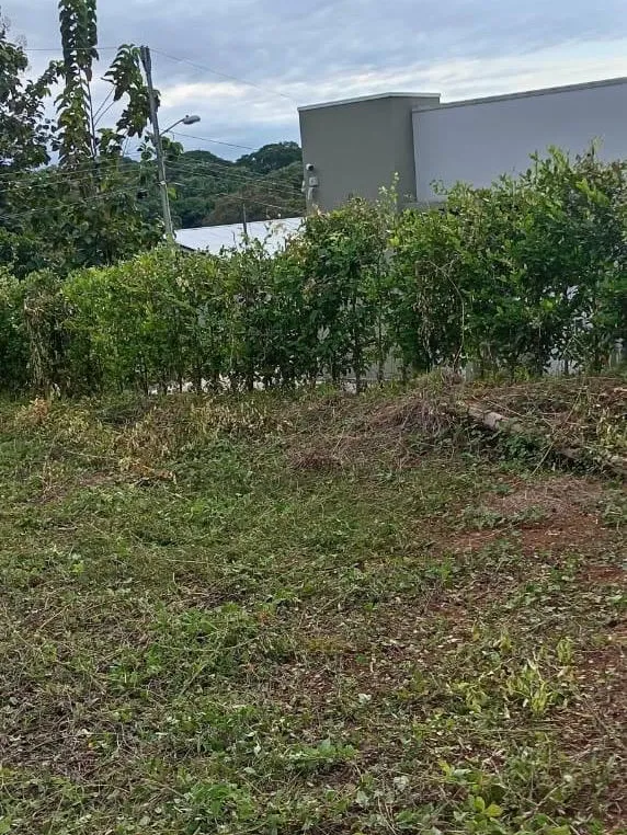 Prime Lot for Sale: 30 Minutes from the Beach – Peaceful and Growing Rural Area - image 4