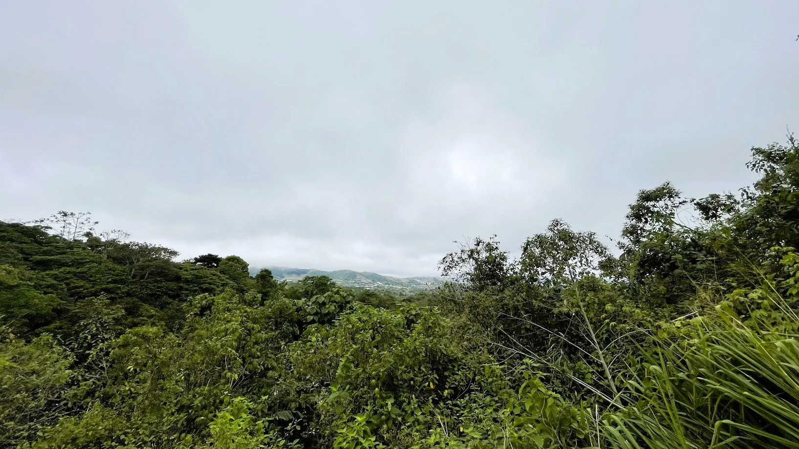 LAND FOR SALE IN SAN RAFAEL, SAN RAMON - image 11
