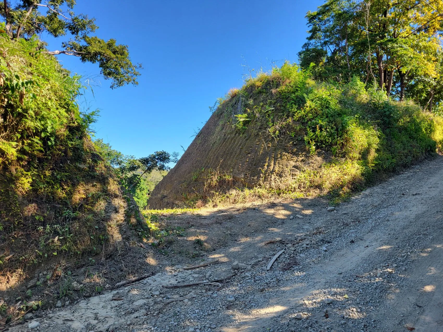 Beautiful 1.8 (18,000 m2) Hectare Mountainside Ocean View Lot in Mal Pais - image 12