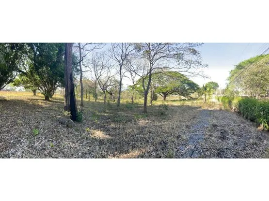 For Sale: Beautiful flat lot in La Ceiba of Orotina - image 7